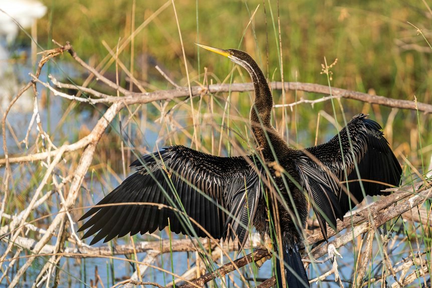 global nature research update
