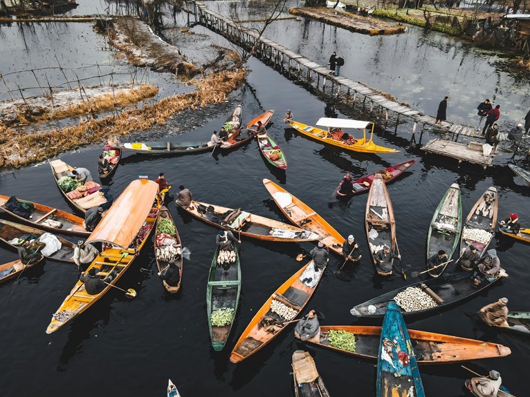 international stock market update