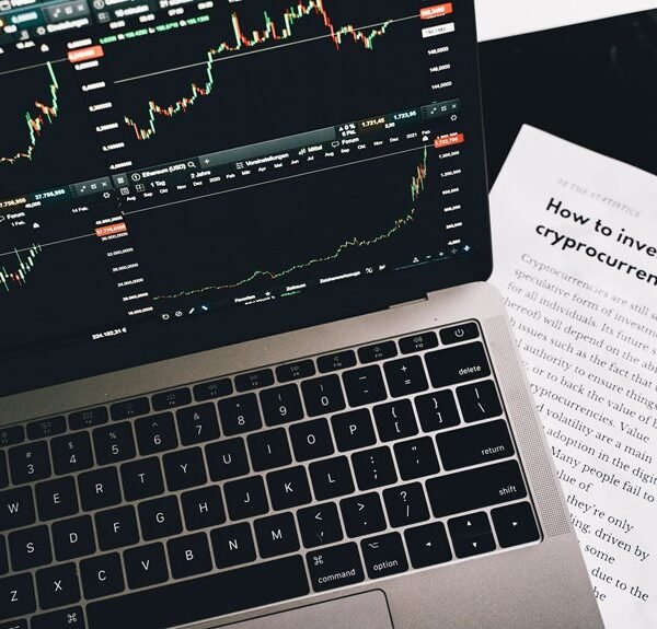 dianaandr3a platform comprehensive review